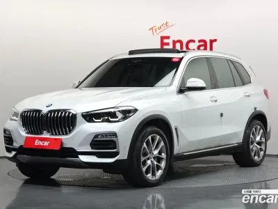 2019 BMW X5 xDrive 30d xLine, фото 1, лот 10134905