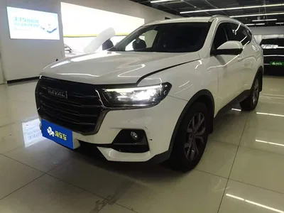 2021 Haval H6 Model National Trend Edition 1.5T Auto Champion, фото 1, лот 11201474