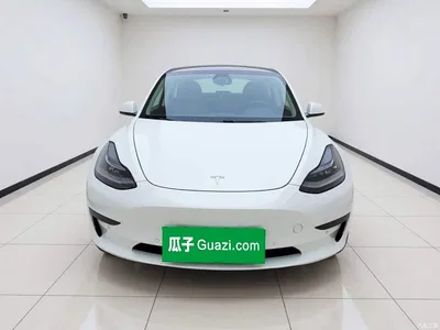 2019 Tesla Model 3 Standard Range Rear-Wheel Drive Upgrade, фото 2, лот 11214679