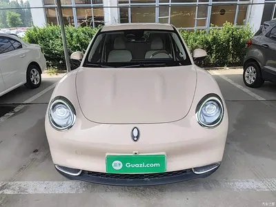 2023 Ora Good Cat 401km Standard Range Honor Edition (LFP), фото 3, лот 11412526