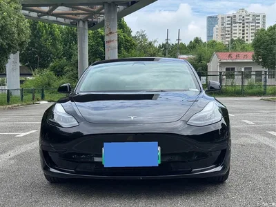 2022 Tesla Model 3 Model Rear-Wheel Drive Version, фото 2, лот 10696806