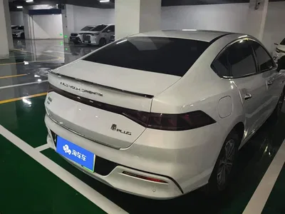 2024 BYD Qin PLUS Glory Edition DM-i 55KM Leading, фото 4, лот 10616378