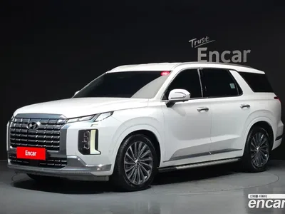 2024 Hyundai Palisade Diesel 2.2 4WD, фото 1, лот 10154872