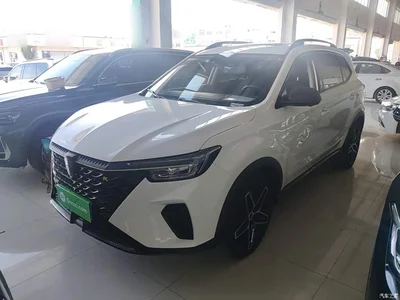 2021 Roewe RX5 PLUS 330TGI Automatic National Trend Premium Edition, фото 1, лот 10389070