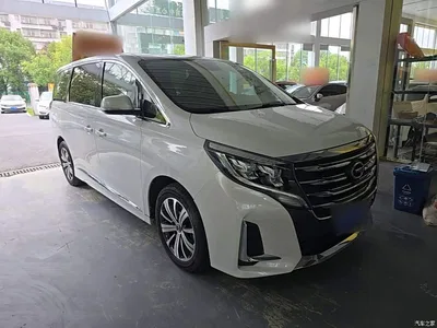 2020 GAC Trumpchi Trumpchi M8 Pilot 390T Prestige Edition, фото 4, лот 10421632