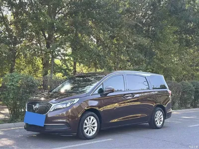 2017 Buick GL8 ES 28T Comfort Type China V, фото 1, лот 10629753