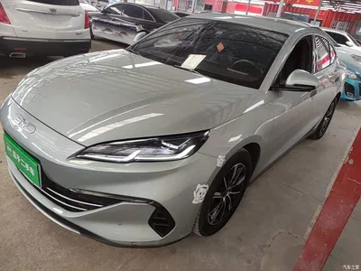 2024 BYD Seal 06 New Energy DM-i 80KM Prestige, фото 1, лот 10272663