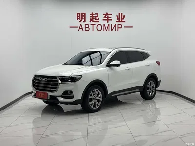2021 Haval H6 Model National Trend Edition 1.5T Auto Champion, фото 1, лот 10296104