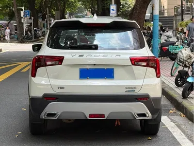 2020 Venucia T60 Model 1.6L CVT Zhixing Edition China VI, фото 4, лот 11583697