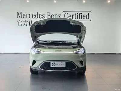 2026 smart Elf #1 Agile New Luxury Edition, фото 3, лот 10449786