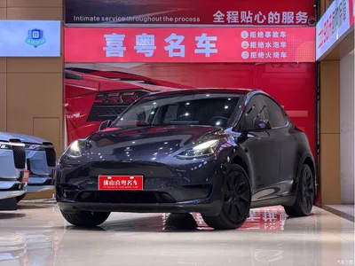 2024 Tesla Model Y Rear-Wheel Drive Version, фото 1, лот 10907022