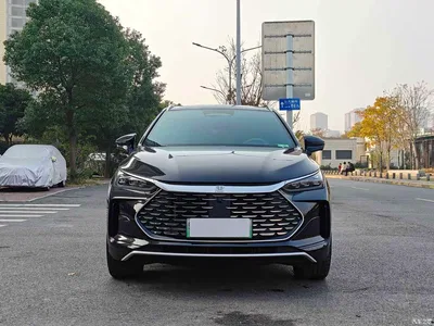 2025 BYD Tang New Energy Smart Driving Edition DM-i 115KM Premium, фото 2, лот 10273221