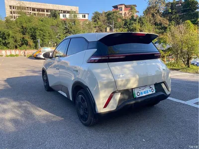 2024 BYD Seagull Glory Edition 305km Vitality Edition, фото 4, лот 11585576