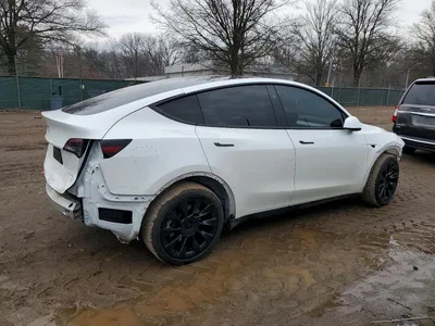 2024 TESLA MODEL Y, фото 3, лот 10857224