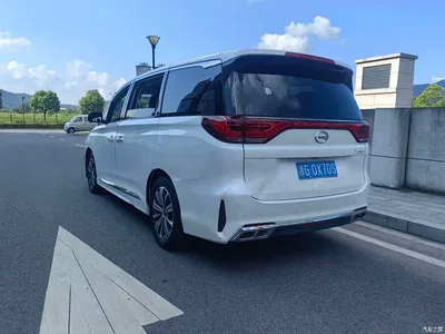 2020 GAC Trumpchi Trumpchi M8 Pilot 390T Ultimate Edition, фото 4, лот 10417271