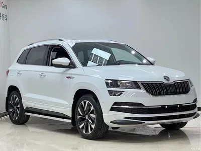 2023 Škoda Karoq TSI280 Luxury Edition, фото 3, лот 10349352