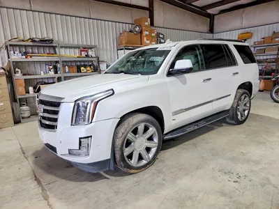 2020 CADILLAC ESCALADE PREMIUM LUXURY, фото 1, лот 10866031