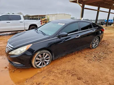 2011 HYUNDAI SONATA SE, фото 1, лот 10758153