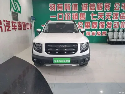 2021 Haval Big Dog 1.5T DCT 2WD Border Collie - Wangcai Edition, фото 3, лот 11206594