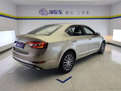 2019 Škoda Octavia TSI230 DSG Smart Luxury Edition China V, фото 3, лот 10349356
