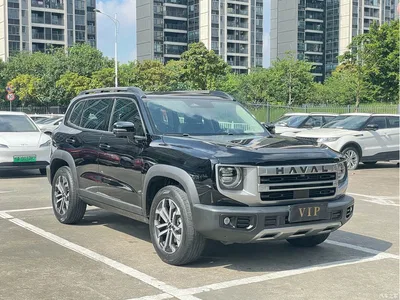 2024 Haval Big Dog 1.5T DCT Border Collie Edition, фото 3, лот 10361779