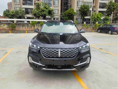 2021 WEY VV6 2.0T 2WD Smart Protection+, фото 2, лот 11136636