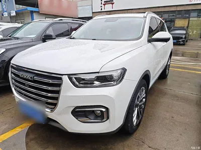 2020 Haval H6 1.5GDIT Automatic Platinum Champion Edition, фото 1, лот 10286763