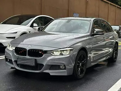 2019 BMW 3 Series 320Li M Luxury Package, фото 3, лот 10770926