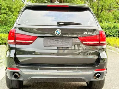 2017 BMW X5 (Import) xDrive35i Elegance, фото 4, лот 10463767