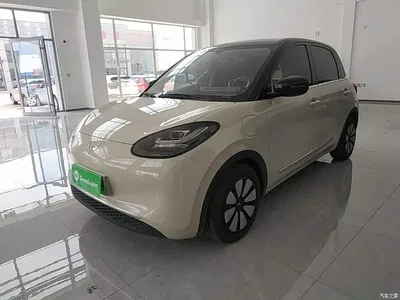 2024 Wuling Motors Wuling Bingo 333km Comfort Edition, фото 1, лот 10369752