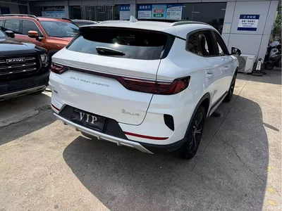 2020 BYD Song PLUS 1.5T Automatic Flagship, фото 4, лот 10255601