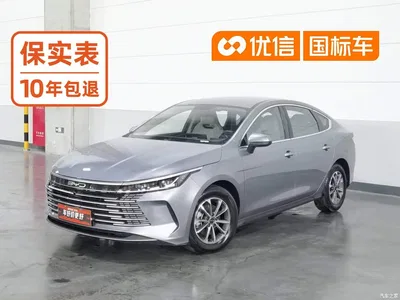 2024 BYD Destroyer 05 Glory Edition DM-i 55KM Luxury, фото 1, лот 10249892