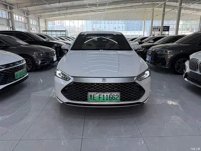 2023 BYD Qin PLUS Champion Edition DM-i 55KM Surpassing, фото 2, лот 10364048