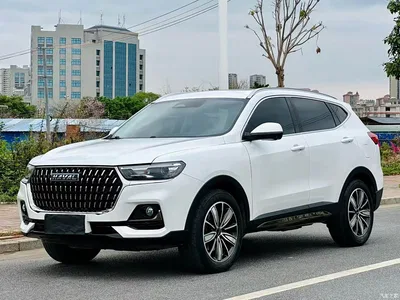2023 Haval H6 National Trend Edition 1.5T Automatic Champion, фото 1, лот 10297833
