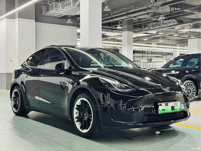 2022 Tesla Model Y Rear-Wheel Drive Version, фото 3, лот 10454394