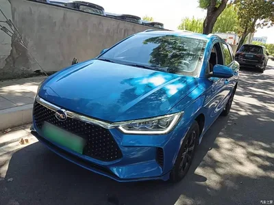 2021 BYD e2 Luxury Edition, фото 1, лот 10387892