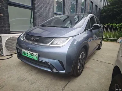 2024 BYD Dolphin Glory Edition 420km Fashion Edition, фото 1, лот 10258222