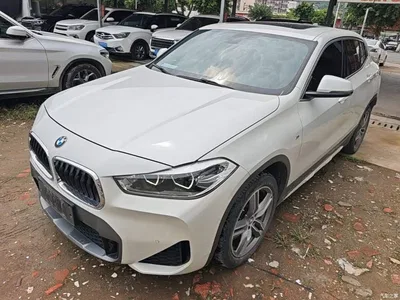2020 BMW X2 sDrive25i Leading M Off-Road Package, фото 1, лот 11136384