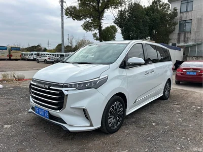 2021 SAIC Maxus Maxus G20 PLUS 2.0T Gasoline Automatic Luxury Executive Edition, фото 1, лот 11159366