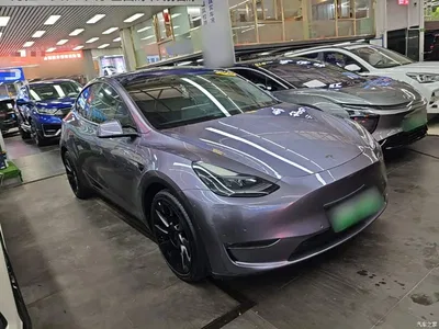 2021 Tesla Model Y Standard Range Rear-Wheel Drive, фото 4, лот 10369671
