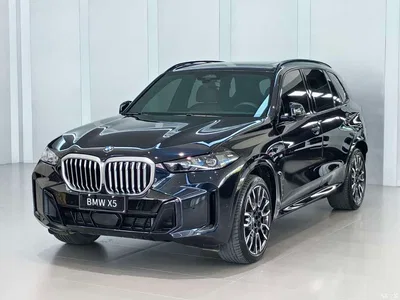 2023 BMW X5 xDrive 40Li M Sport Package, фото 1, лот 10462544