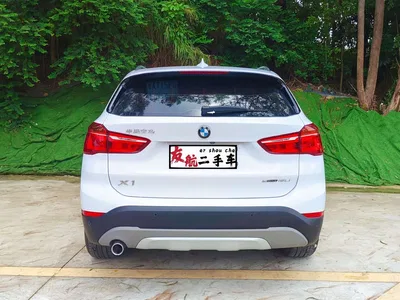 2019 BMW X1 sDrive18Li Premium Model, фото 4, лот 10426954