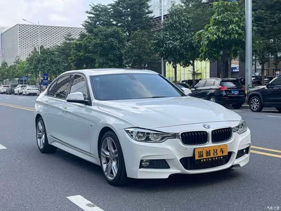 2018 BMW 3 Series 320Li Leading M Sport Package, фото 3, лот 11191522