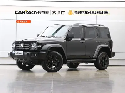 2025 Tank 300 2.0T Challenger, фото 1, лот 10344051