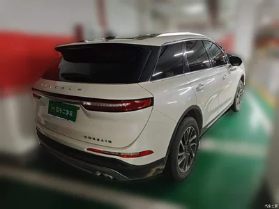 2020 Lincoln Adventurer 2.0T 2WD Premium Elegance Edition, фото 4, лот 11518574