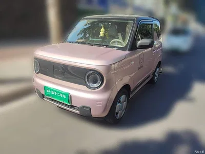2023 Geely Galaxy Panda Mini 200km Endurance Bear, фото 1, лот 11545395