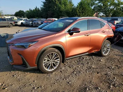 2026 LEXUS NX 350 LUXURY, фото 1, лот 10971525