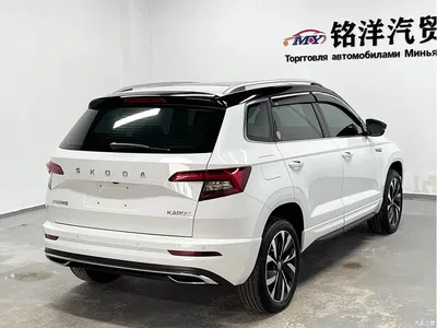 2024 Škoda Karoq TSI280 Luxury Edition, фото 4, лот 10348474
