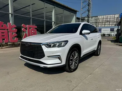 2019 BYD Song Pro New Energy EV High Power Premium Model, фото 1, лот 10273169