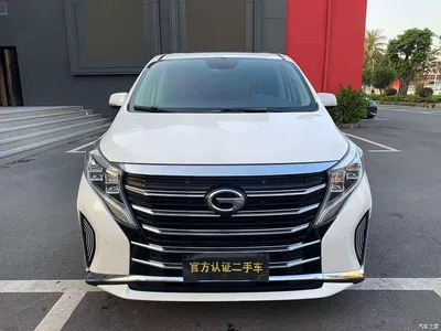 2020 GAC Trumpchi Trumpchi M8 Master Edition 390T Premium, фото 2, лот 10842532